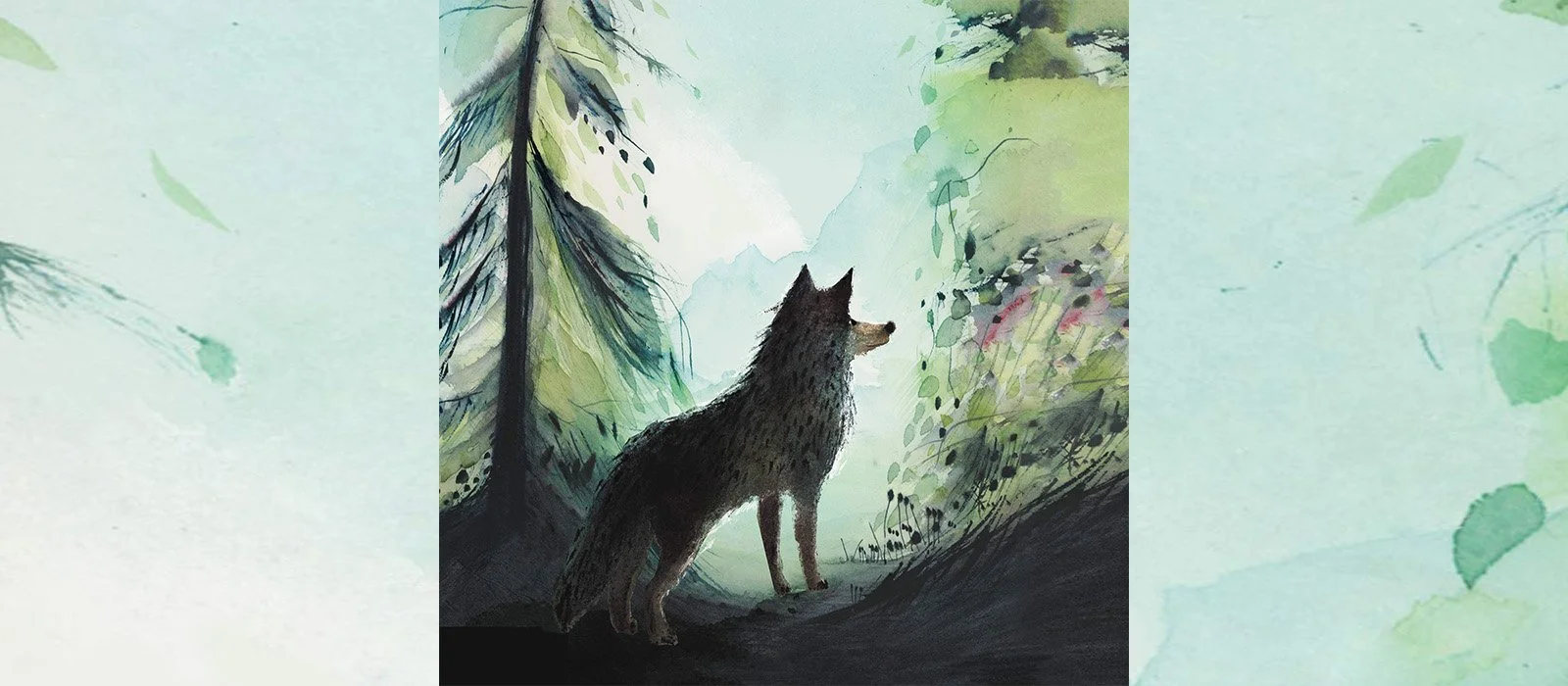 A Wolf Called Wander