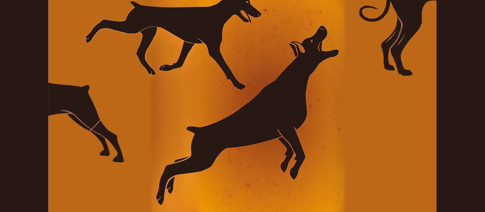 Fifteen Dogs