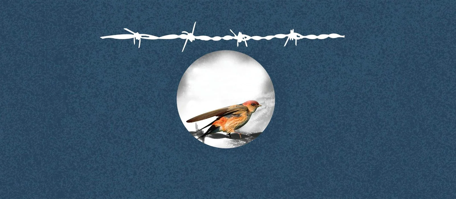 YesToLifeBanner.jpg