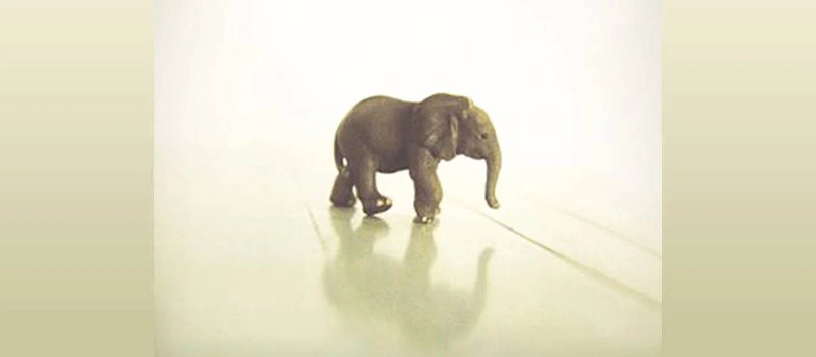 Small as an Elephant