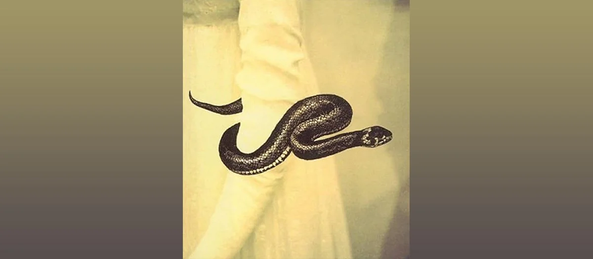 Spring Flowers, Spring Frost