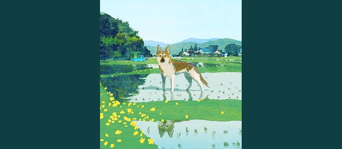The Boy and the Dog