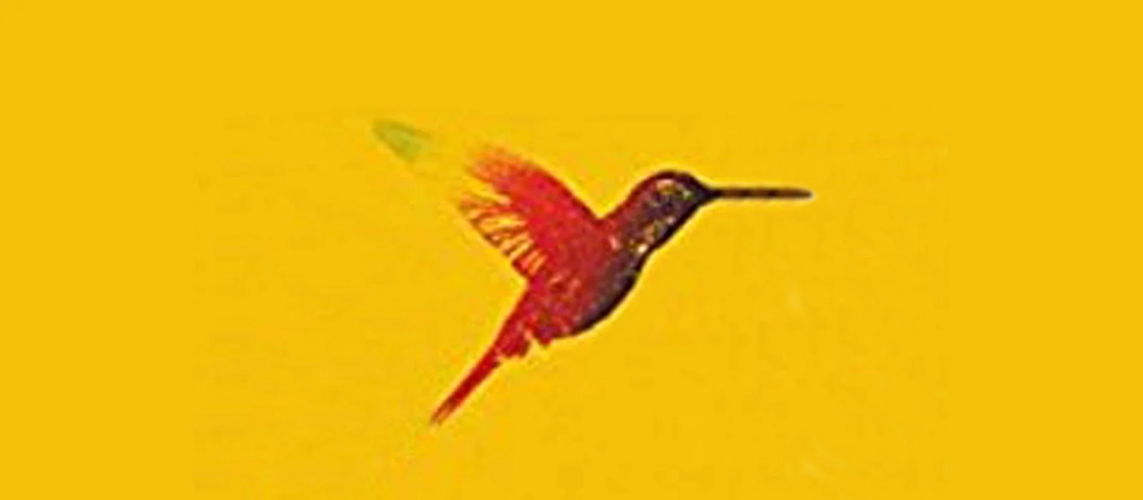 HouseOfBrokenAngelsBanner.jpg