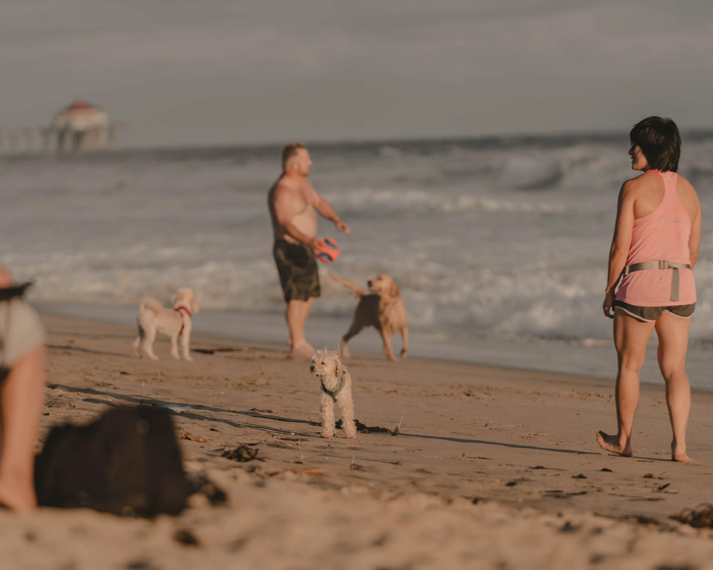 _ONA5272-2.jpg