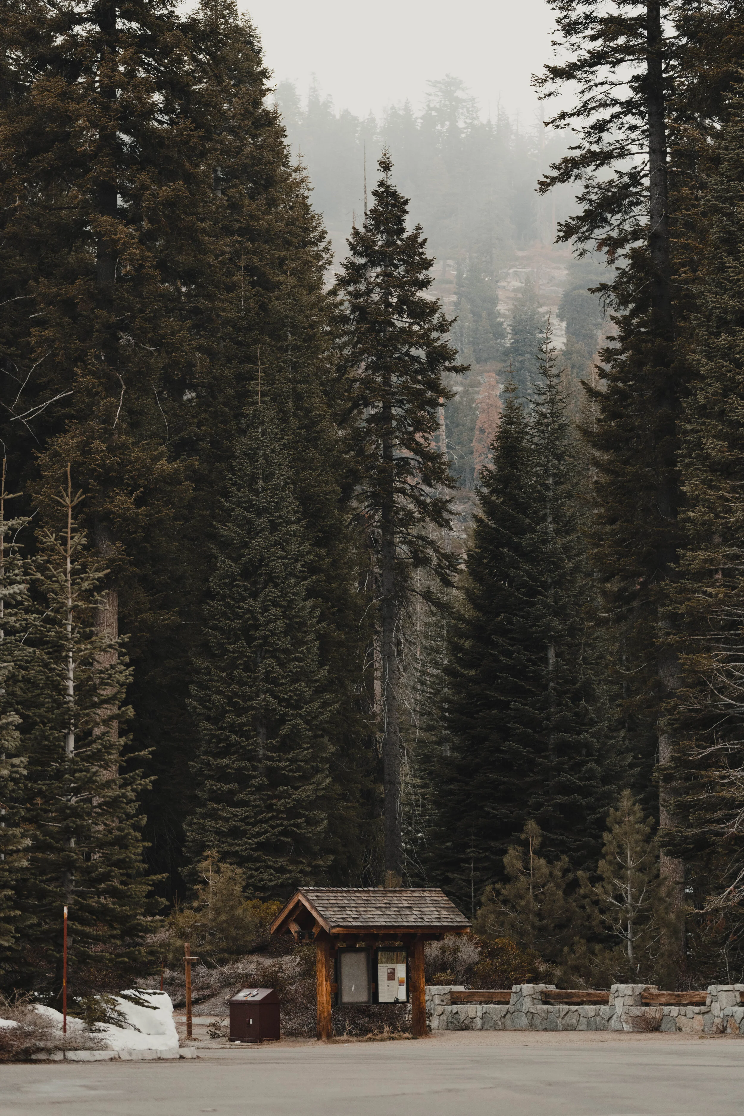 _ONA5059.jpg