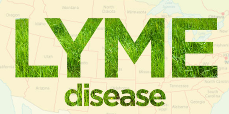 Blog-Lyme-Disease-The-Great-Masquerader.png