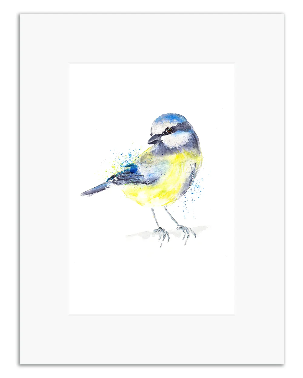 blue tit.jpg