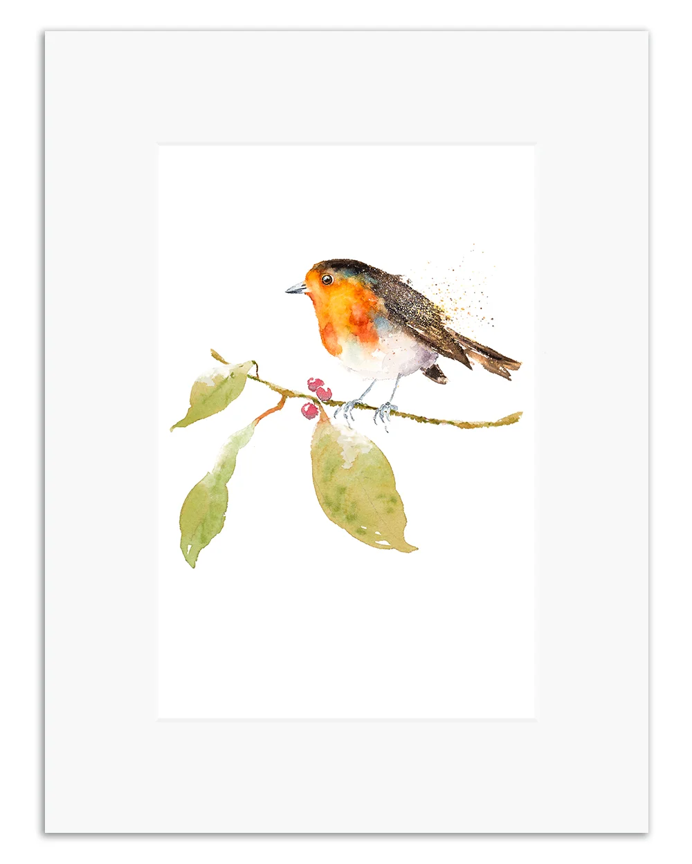 robin and berries.jpg