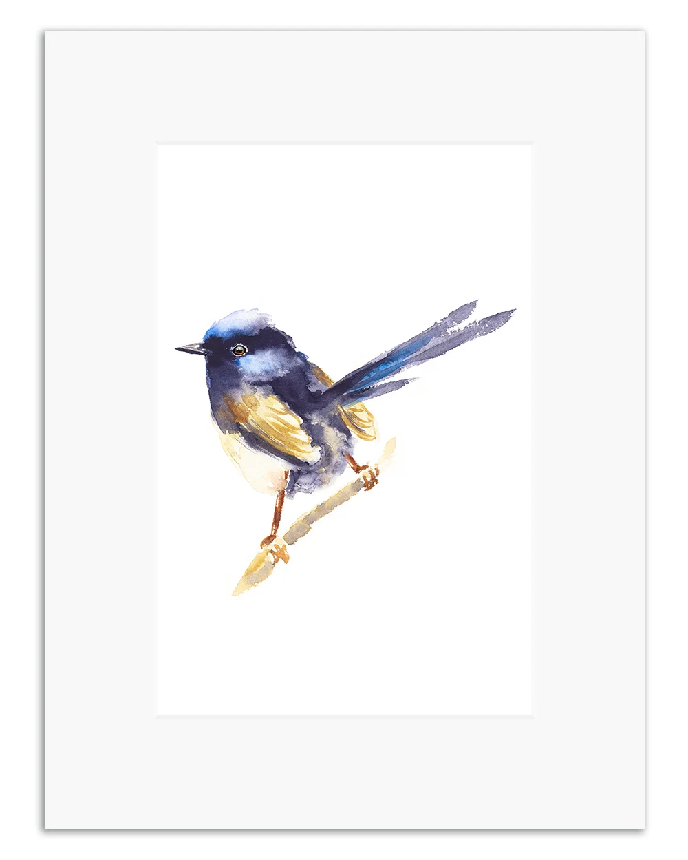 fairywren.jpg