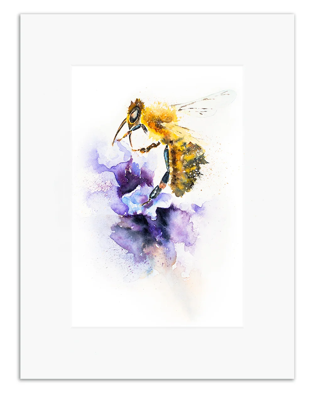 bee on lavender.jpg