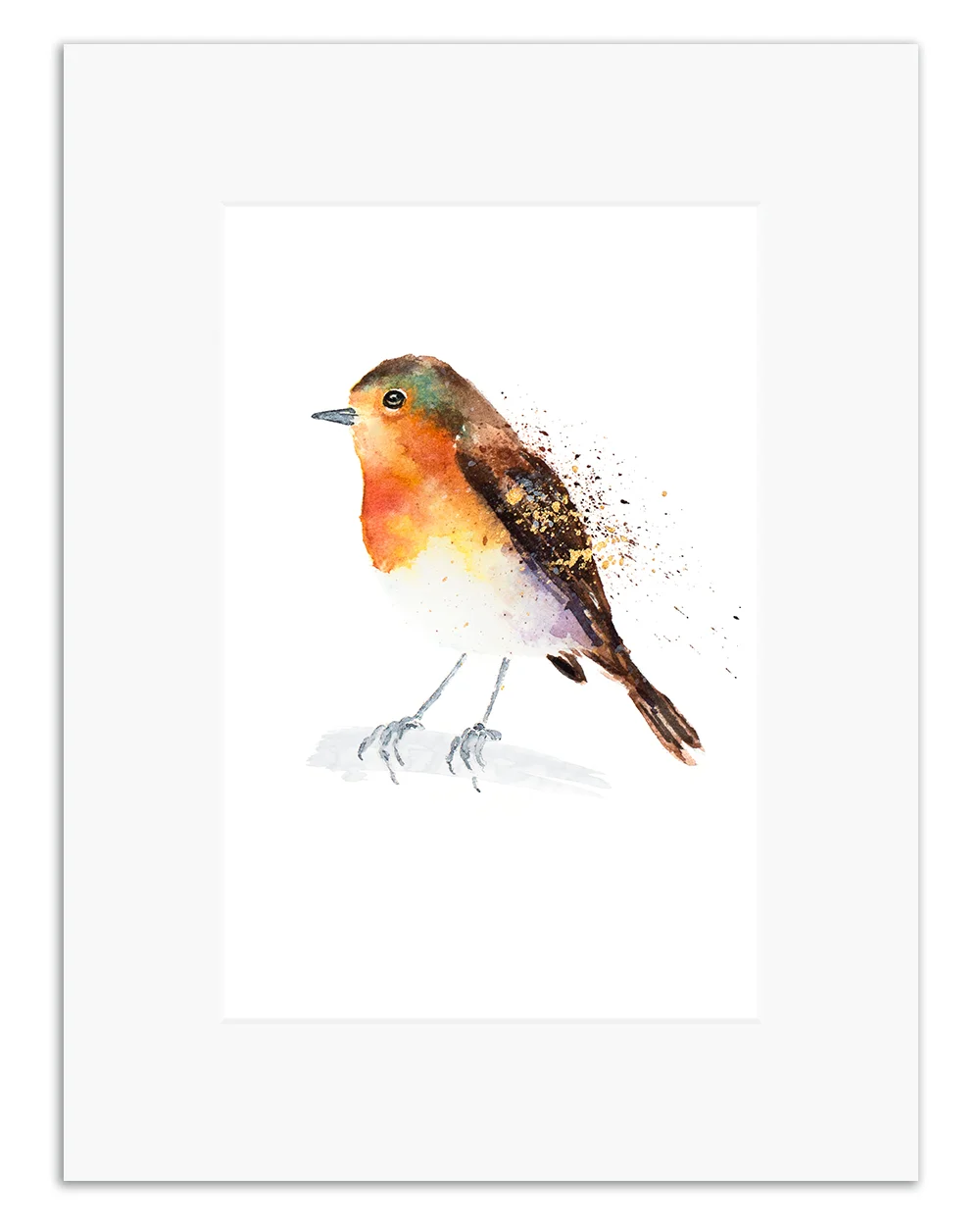 robin 1.jpg
