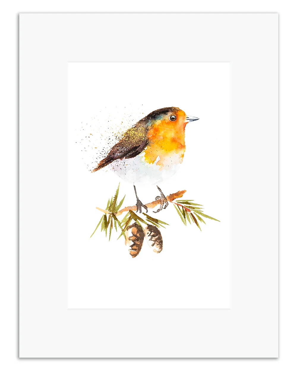 robin on pine branch.jpg