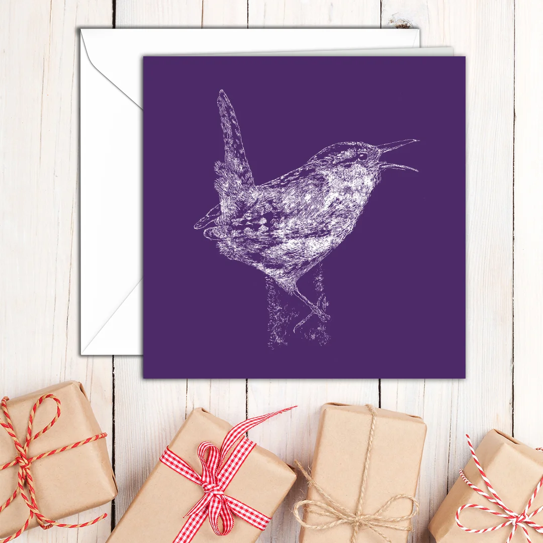 Scraperboard Card Wren.jpg