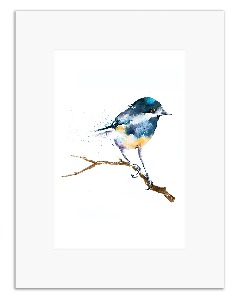 Coal Tit.jpg