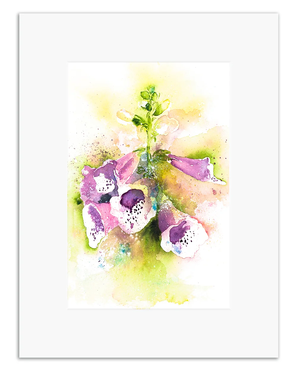 Foxgloves.jpg