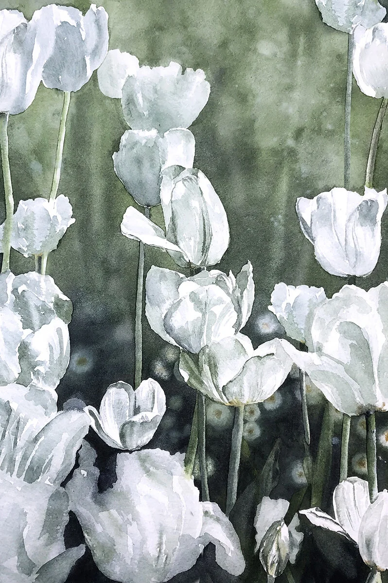WHITE TULIPS - 297 x 420mm - watercolour