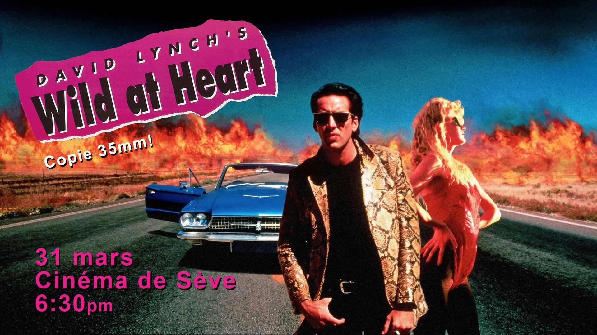 Poster for screening of "Wild At Heart", Montreal Cineclub/Film Society, photoshop, 2024