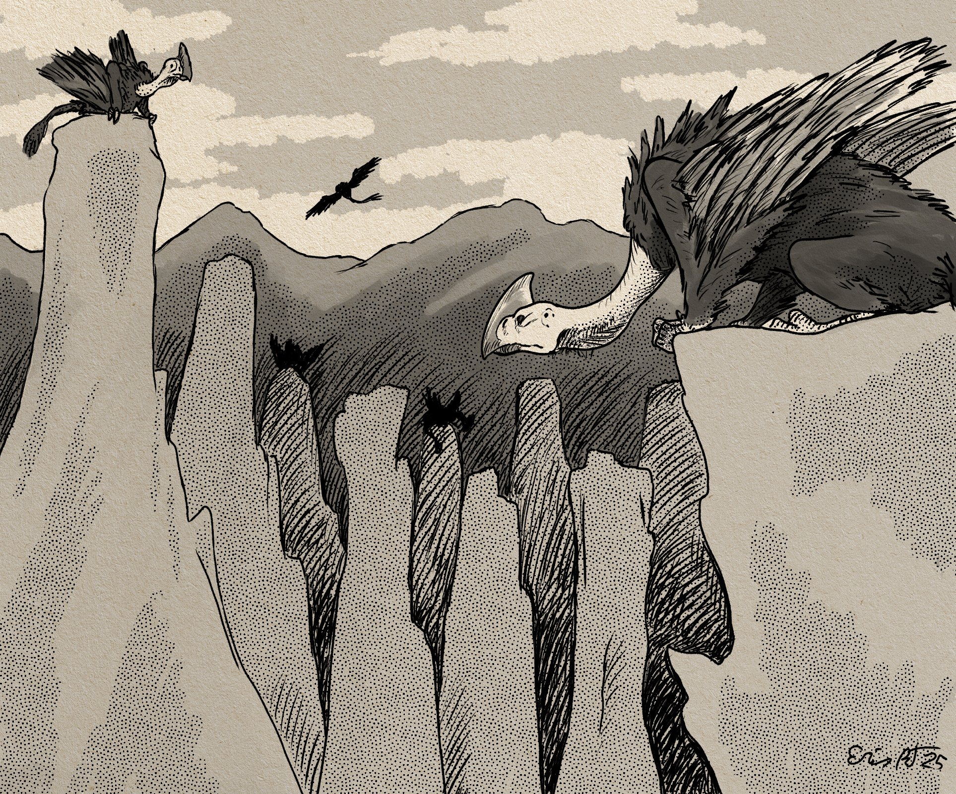 On The Cliffs, 2025, Digital Illustration