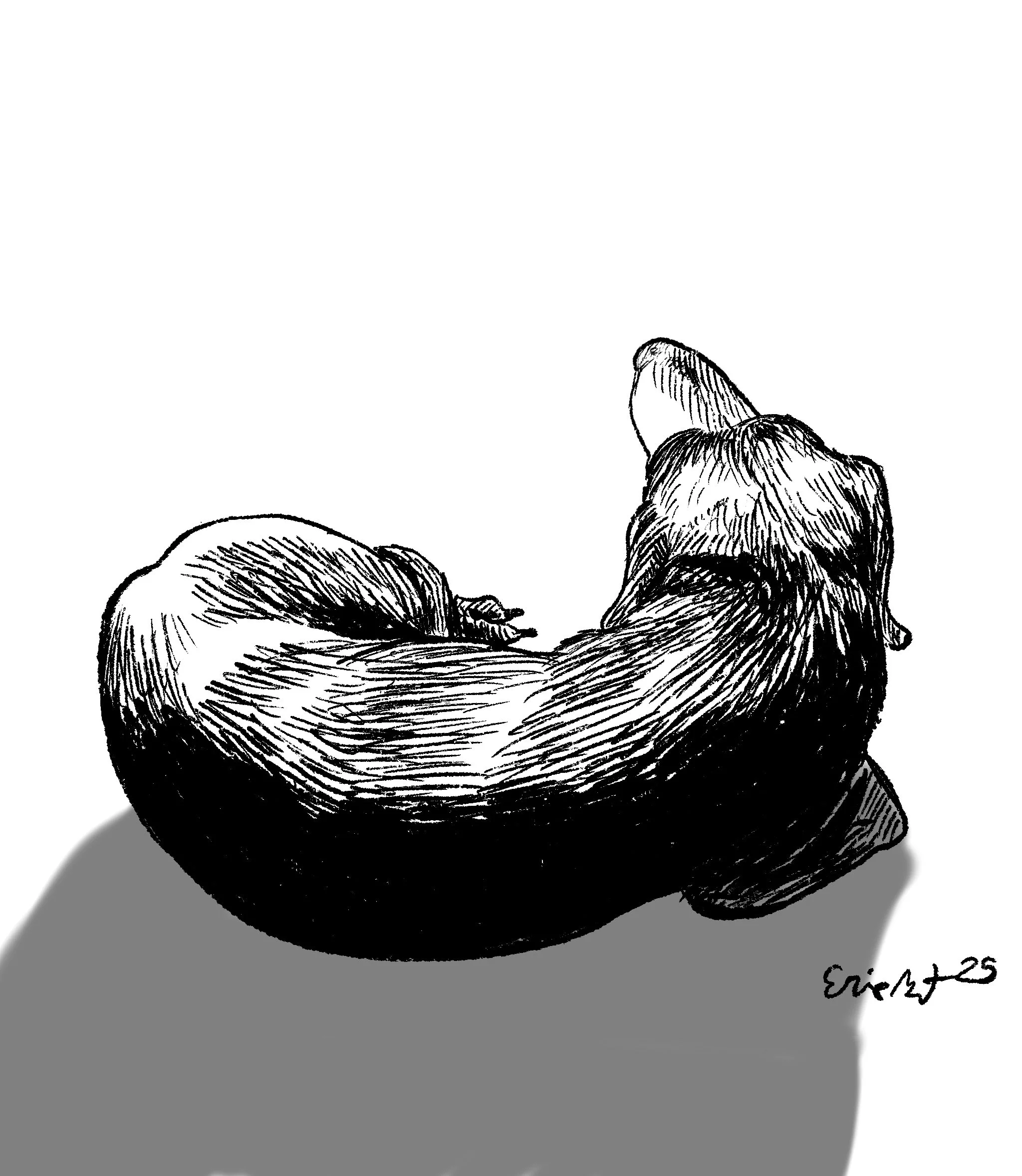 Tube Doggo at Rest, 2025