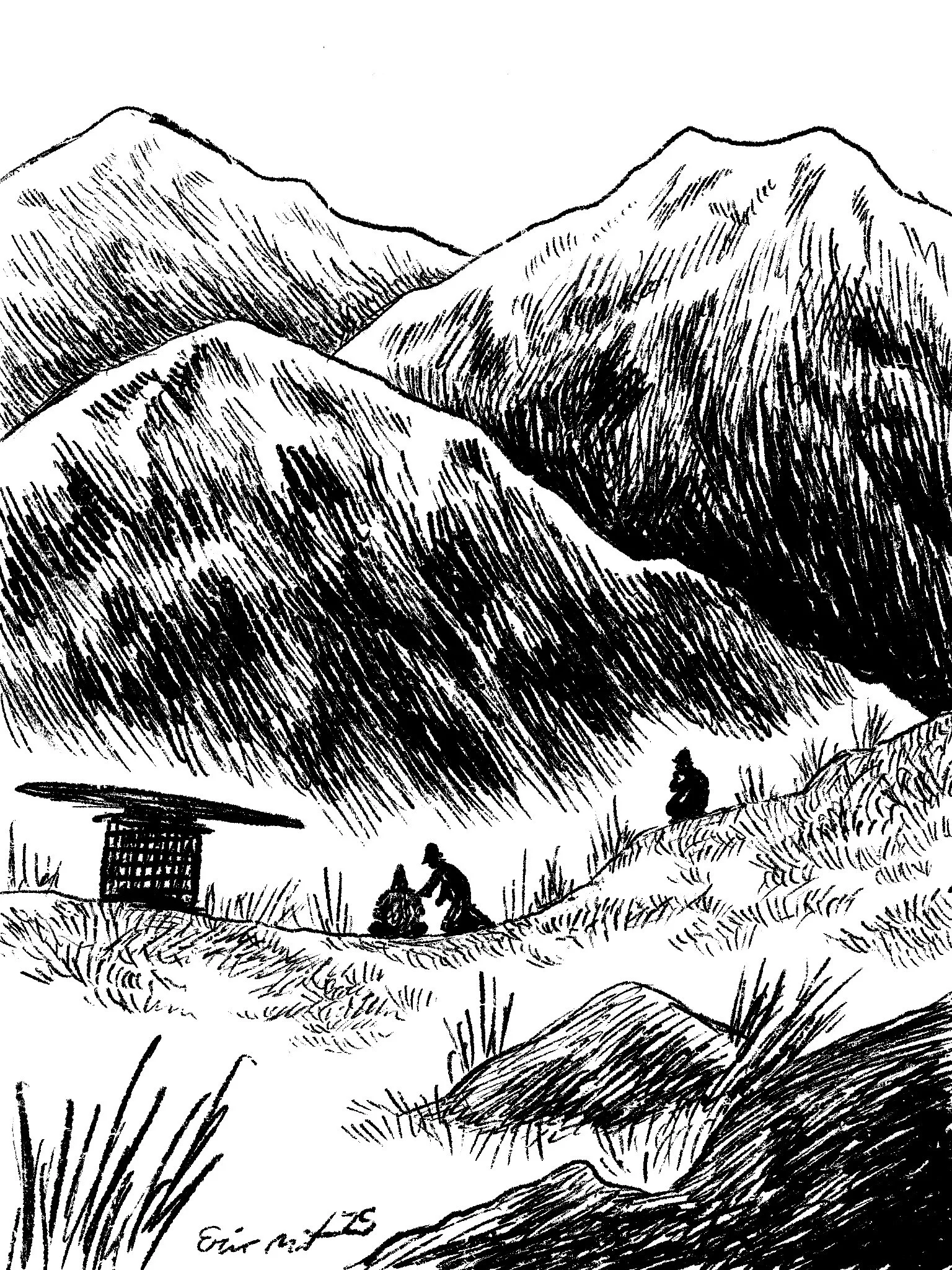 A Pause On The Plateau, 2025