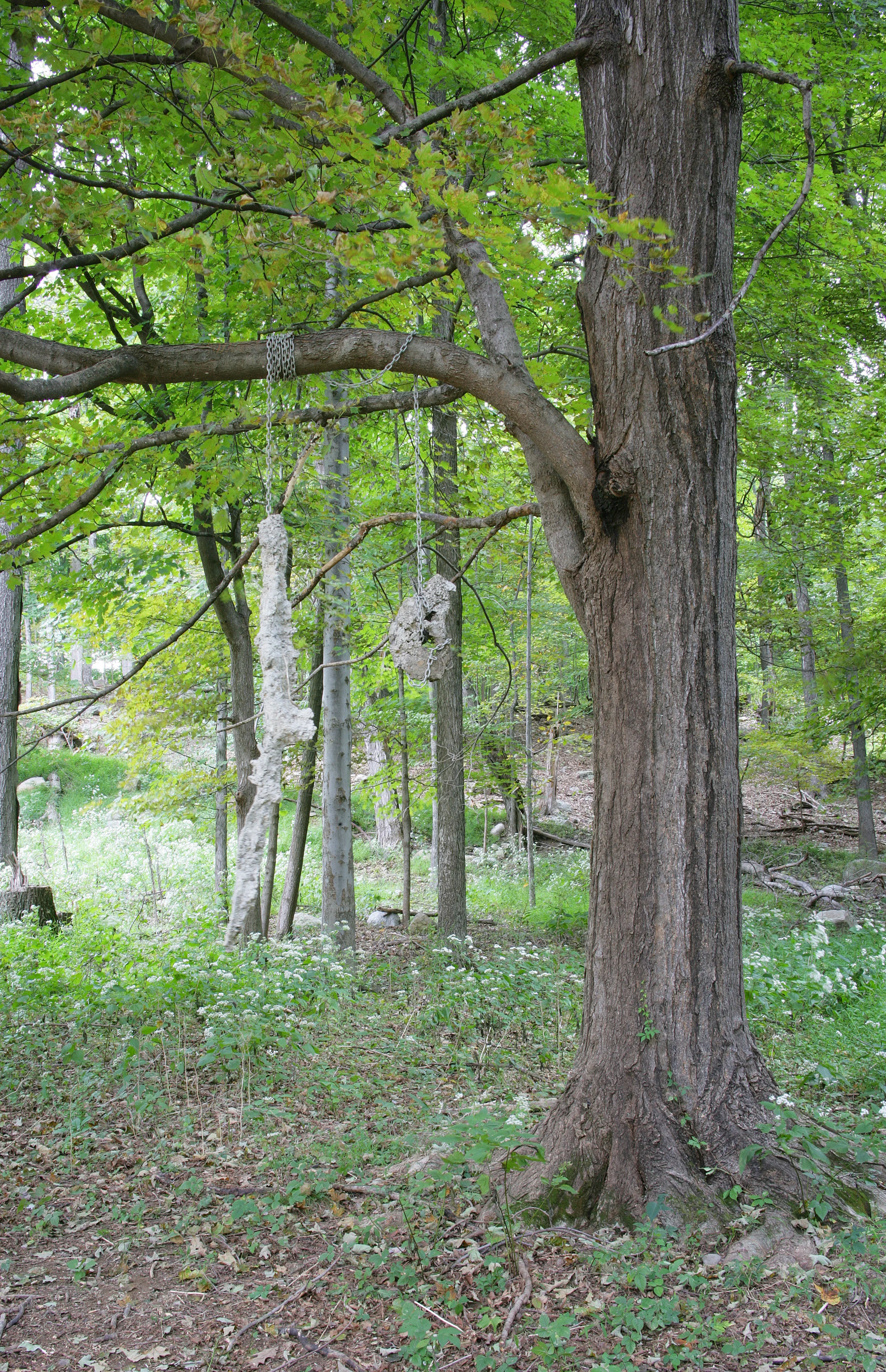  Tomás Díaz Cedeño,  Bare Hand , 2018 