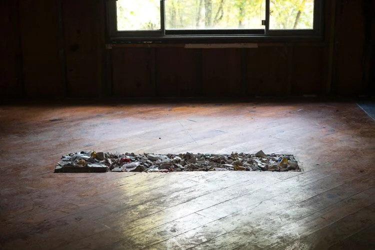  Barb Smith,  The Force, The Motion , 2018 