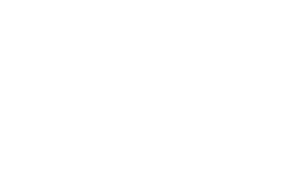 TEFF_2019_LAURELS_OfficialSelection_NEG Small Web.png