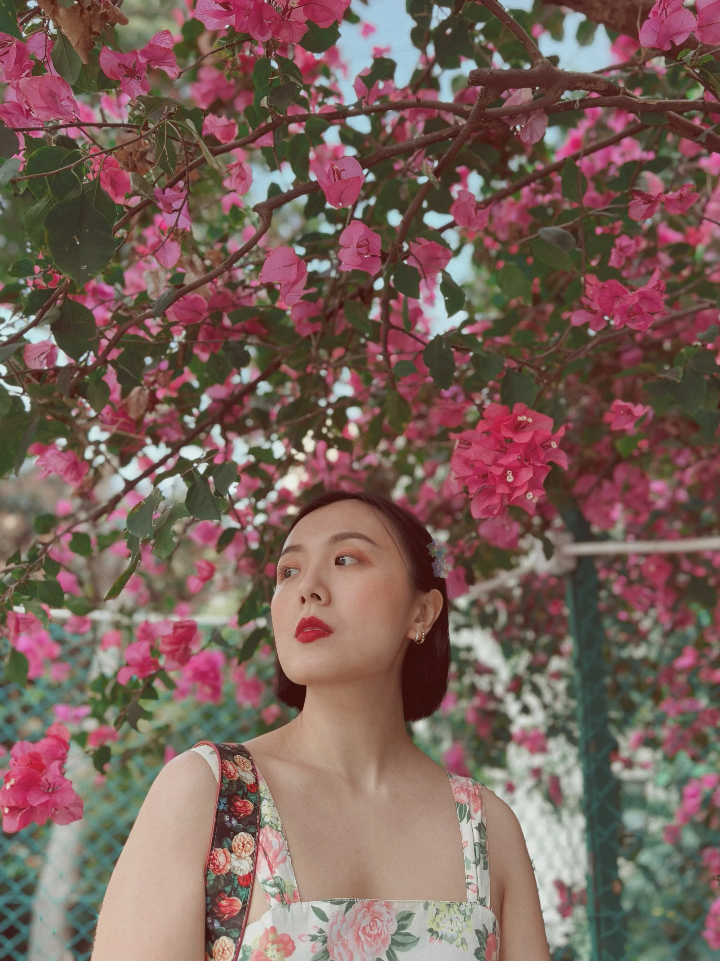 C3D73835-994D-4DC4-9129-D0FBE525A57B.JPG