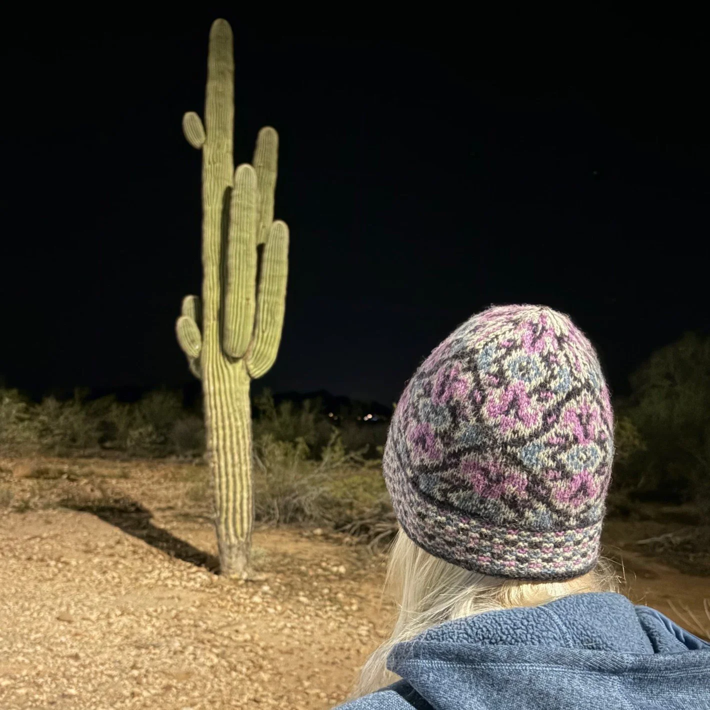 wild iris by saguaro.JPG