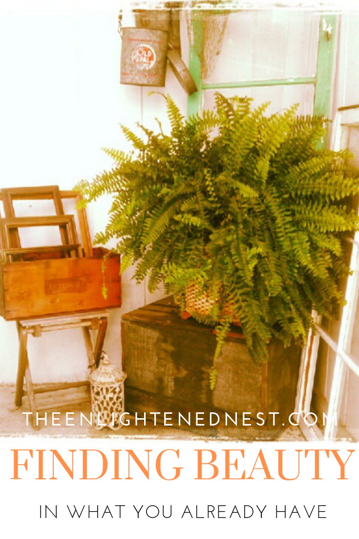back door; fern; vintage; frames; minnow pail.png