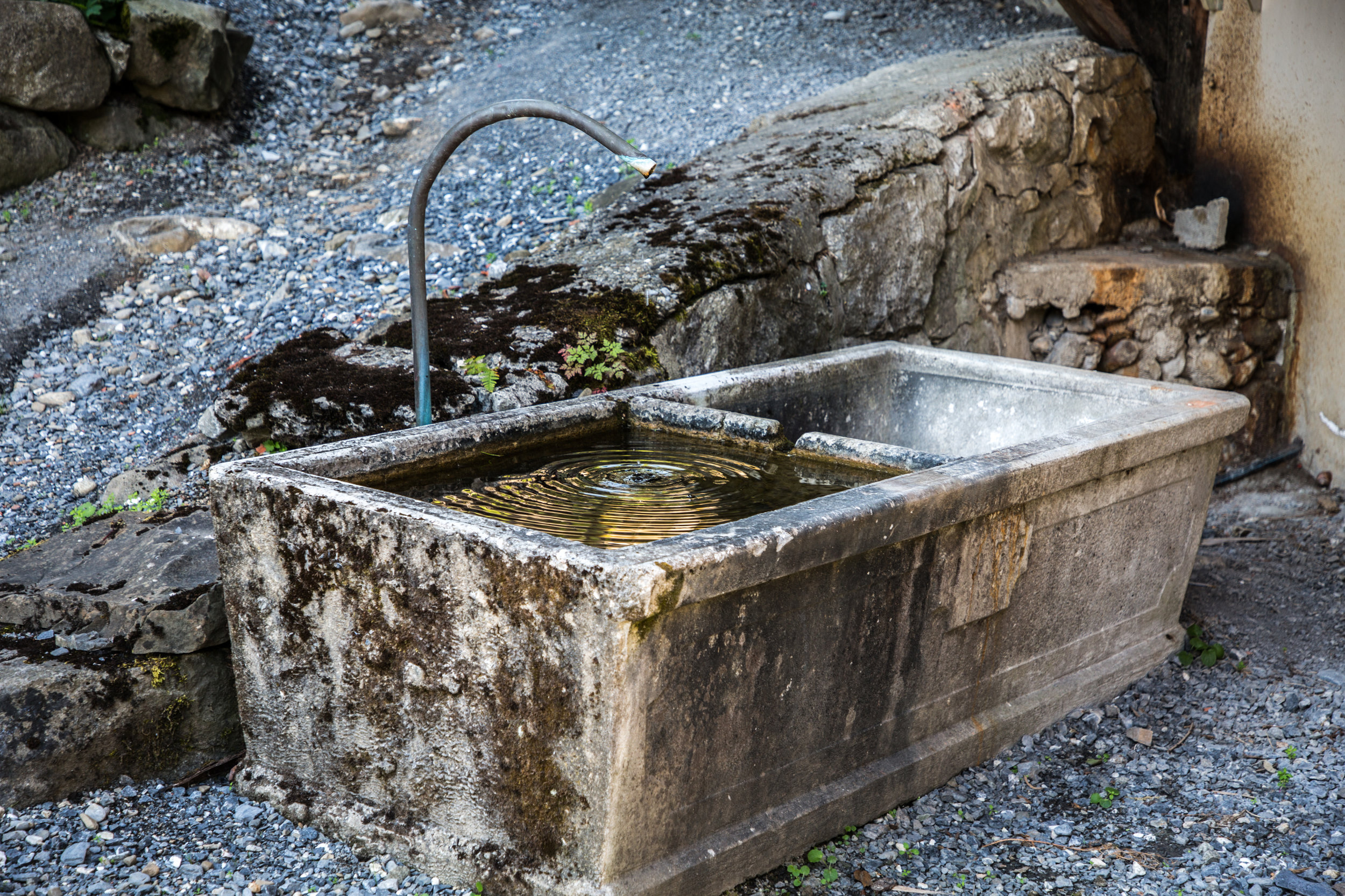 Original spring basin at Chalet Forest, French Alps