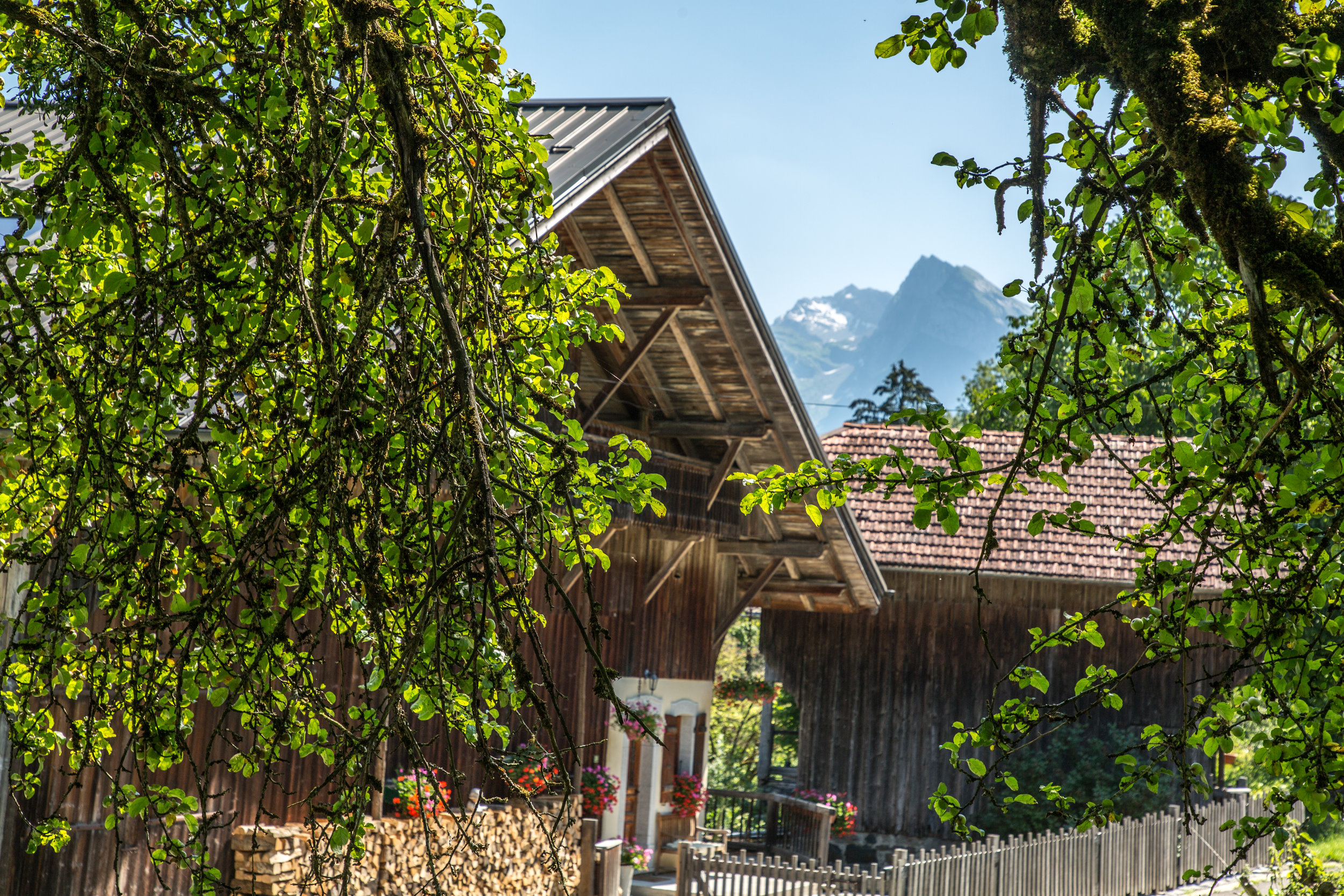 Detail of Chalet Forest with mountains and Valley Du Giffre in background