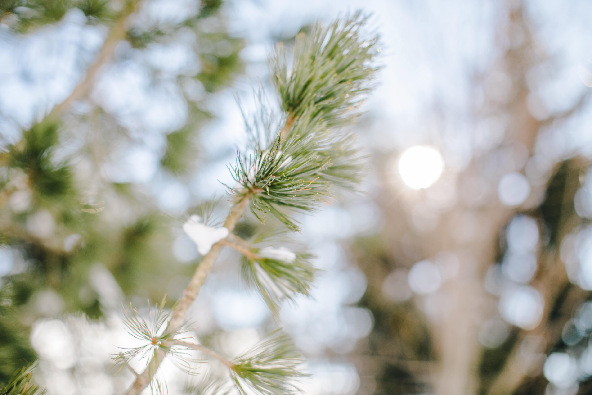 Das Licht &amp; die Dunkelheit