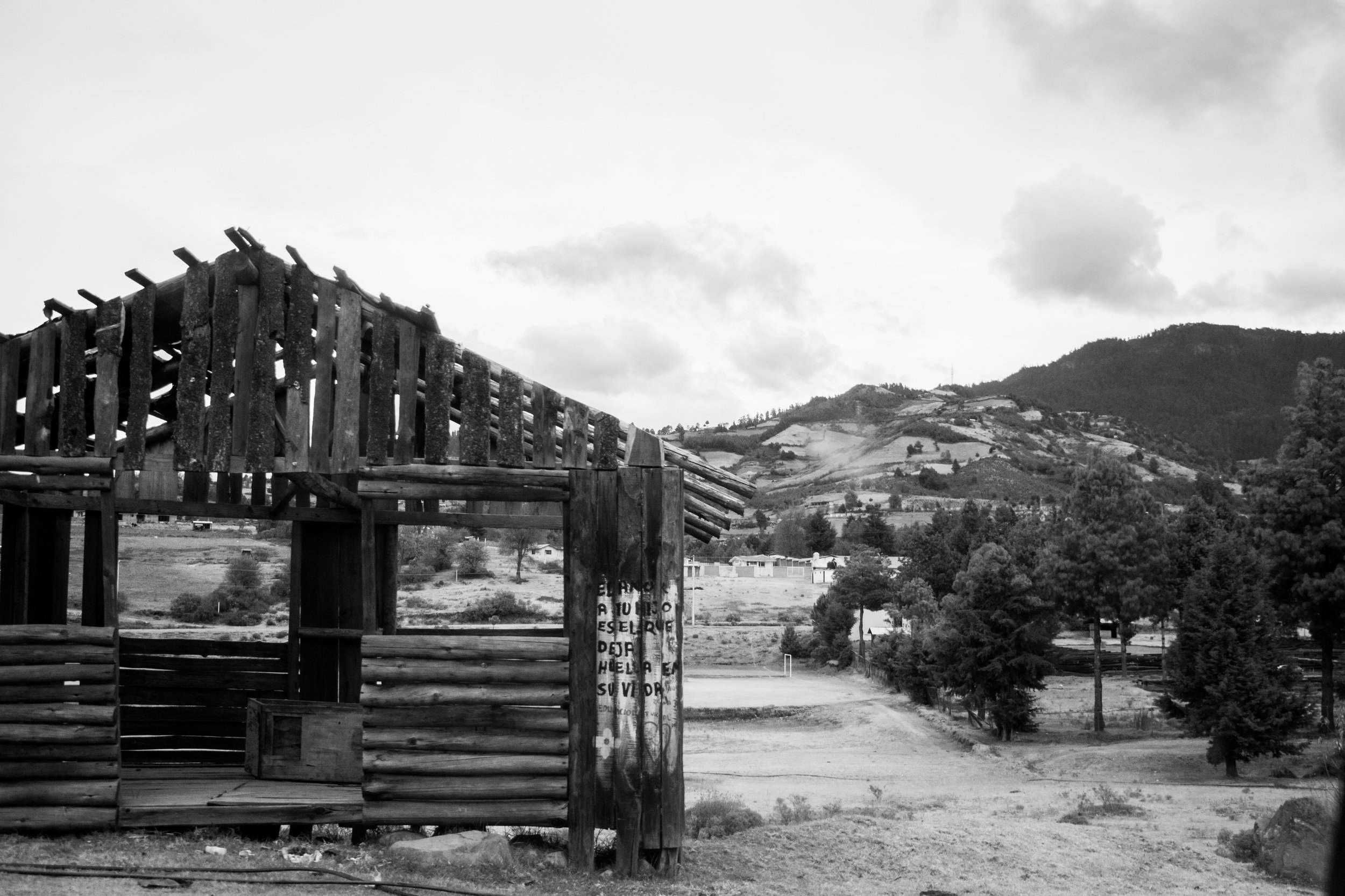 SCENE/SEEN ~ Through a Window ~ Michoacán