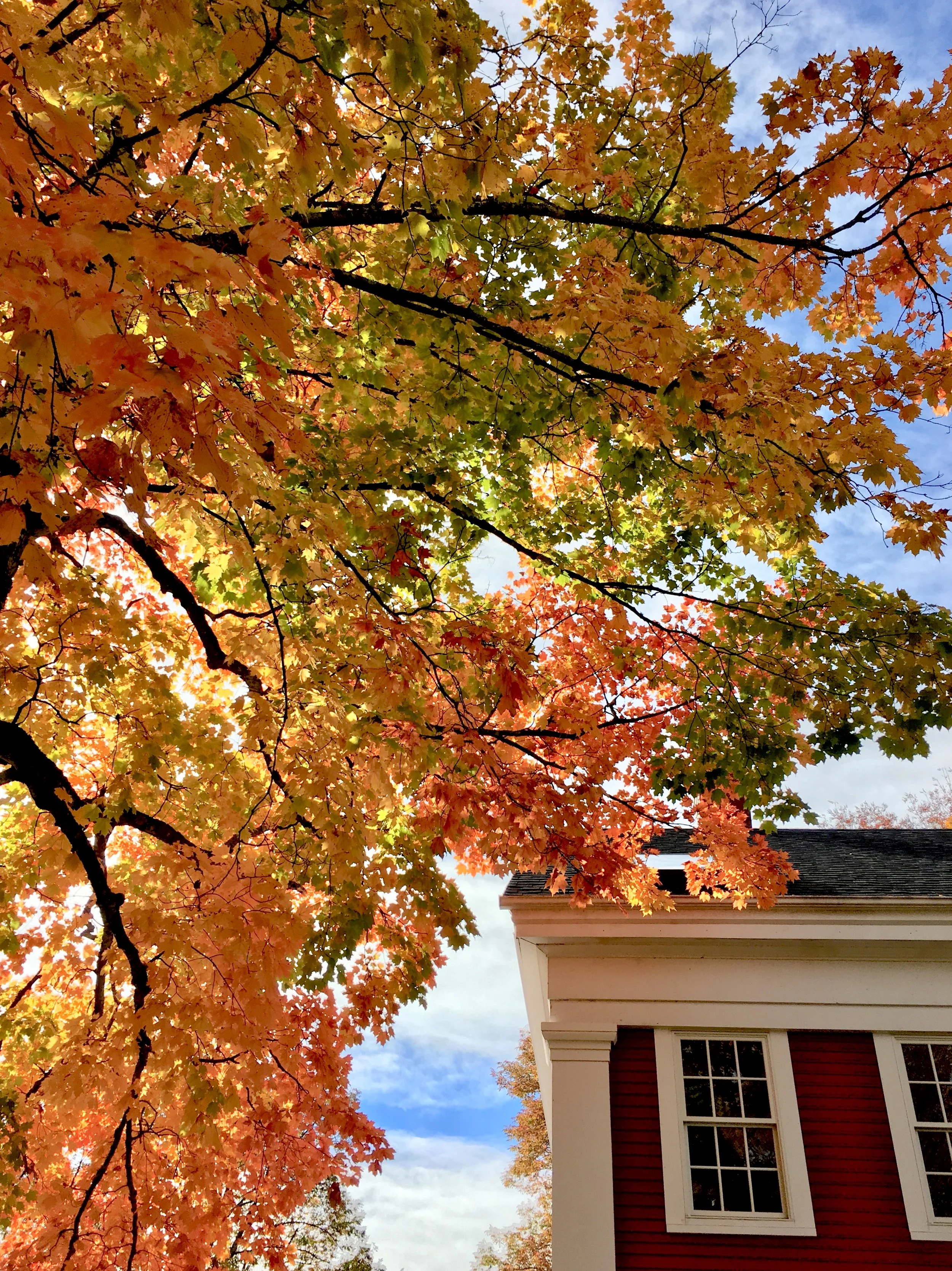 Fall in Rockport.jpg