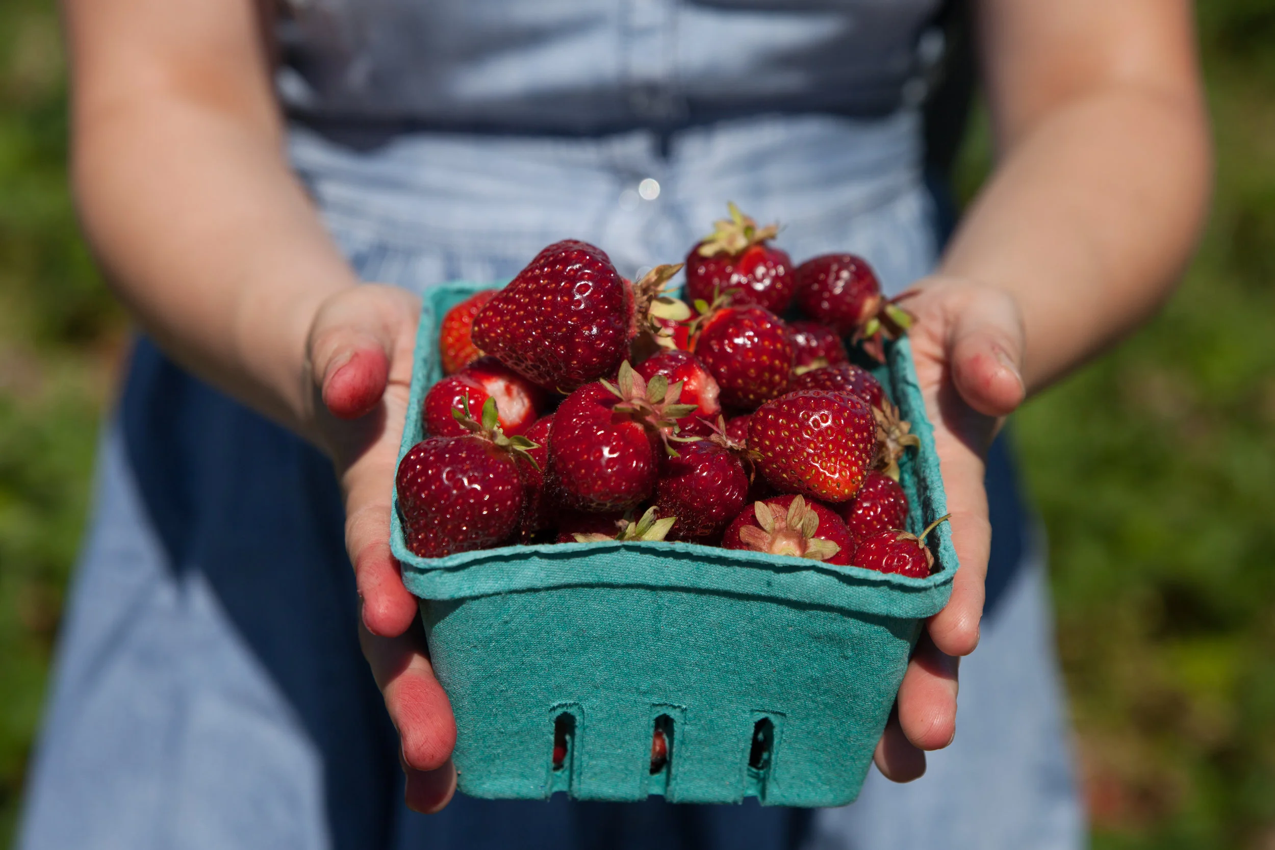 Strawberries-1.jpg