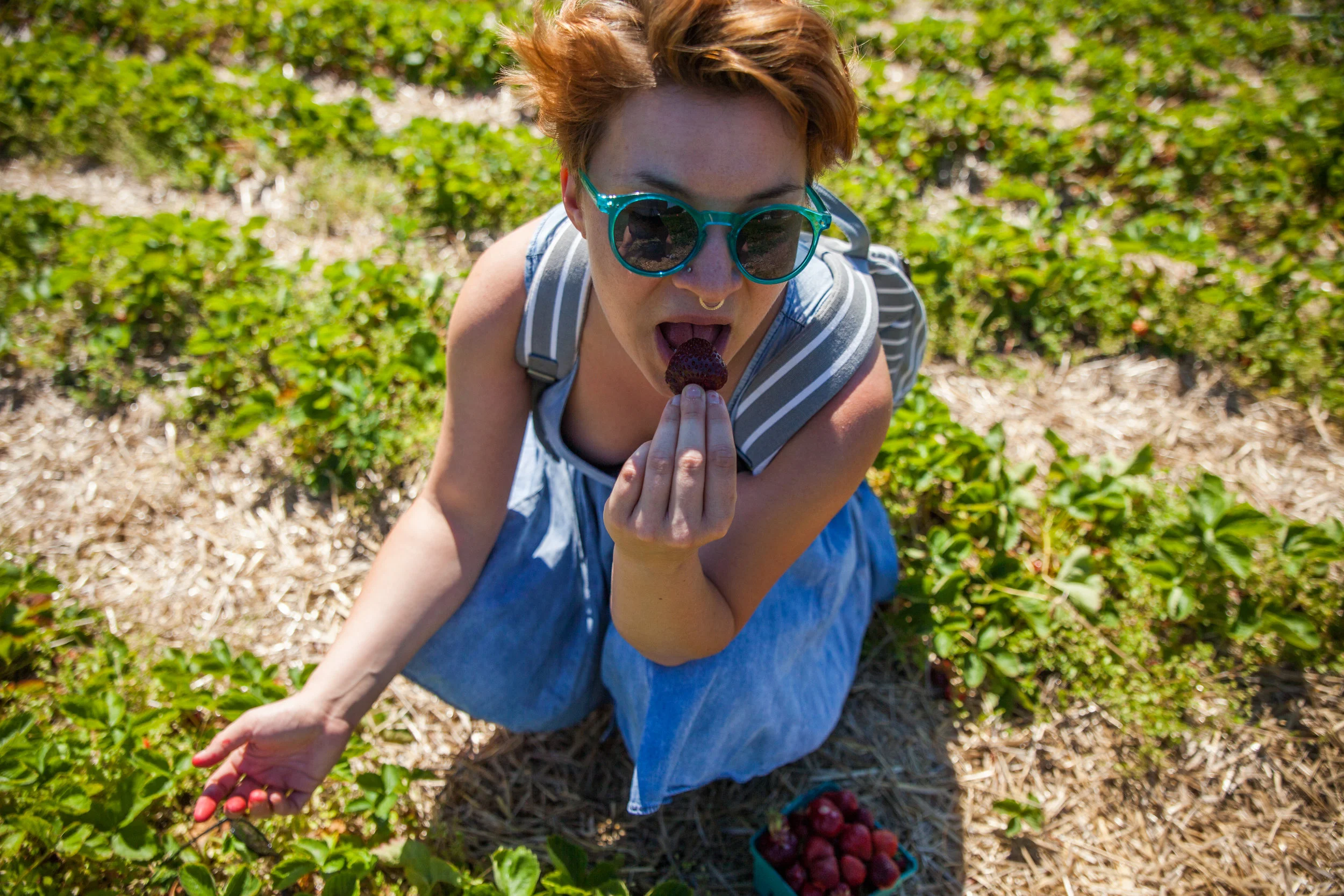 Strawberries-2.jpg
