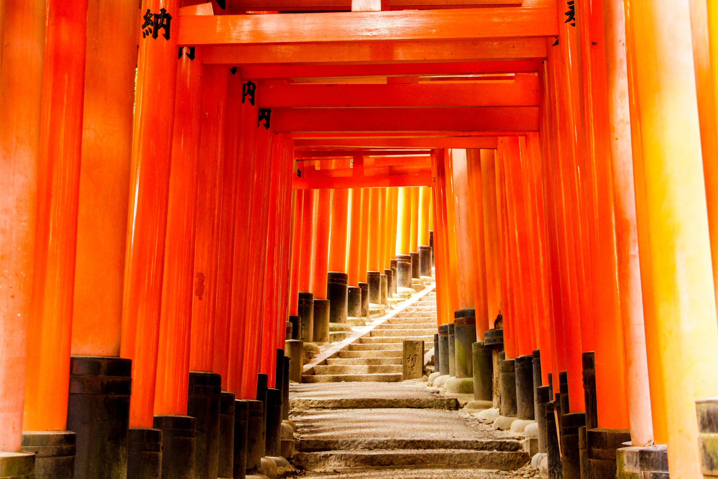 Japan-5.jpg