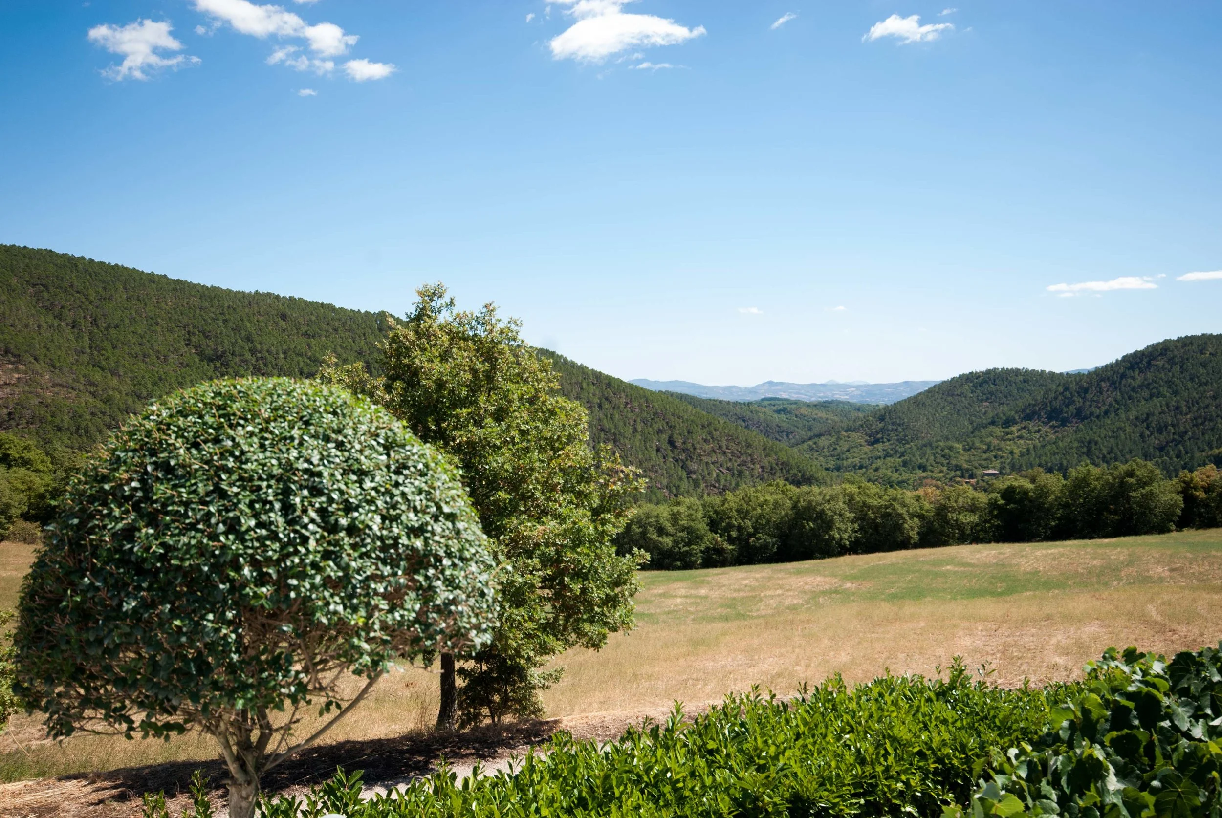  The owners are passionate gardeners and every year take pride in planting more trees and plants. 