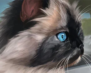 pet portraits_thumb.jpg