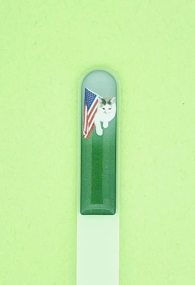 Cat and US Flag.JPG