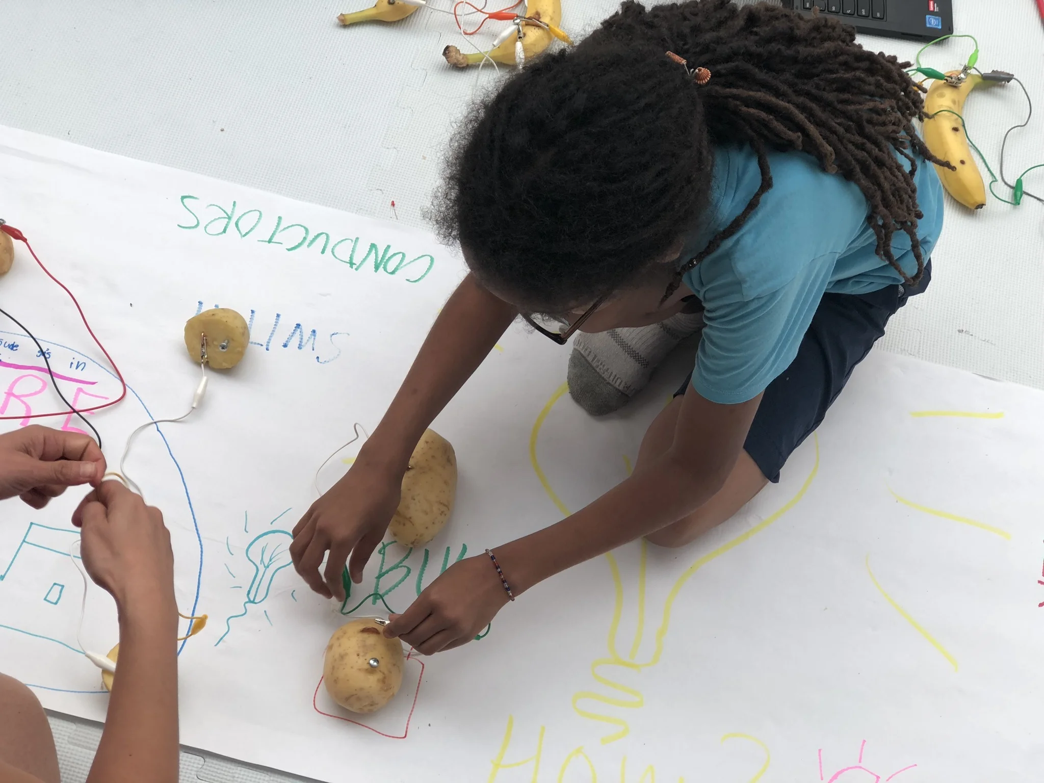 STEAM Activity: Light It Up...with Potatoes!