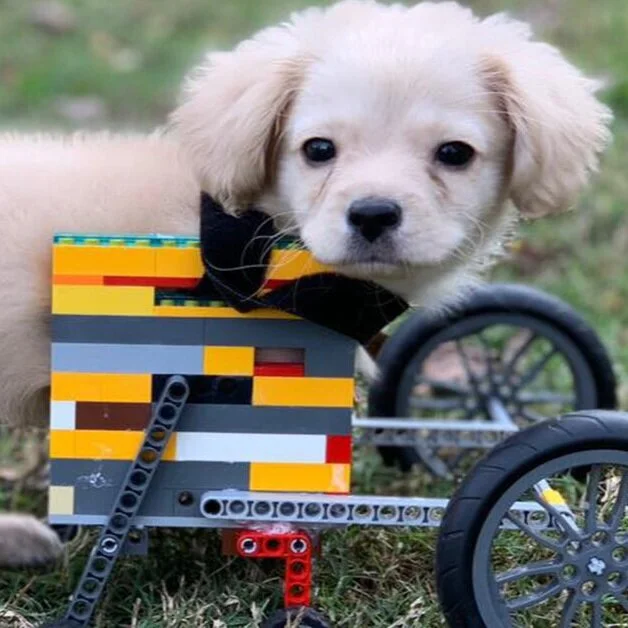 Build with LEGO: Invent for good