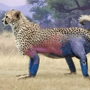 Animal Science: Safari