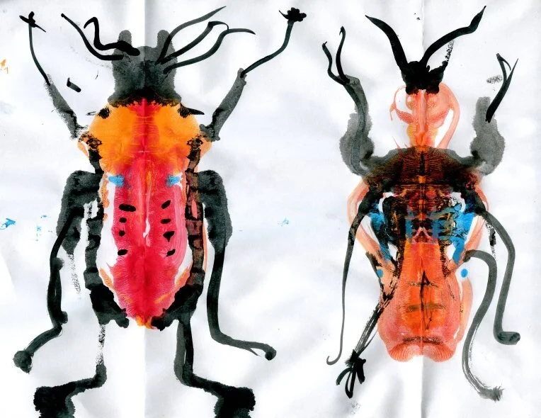 Drawing and Anatomy Camp: Dragons, Mythical Creatures, and Insects ...