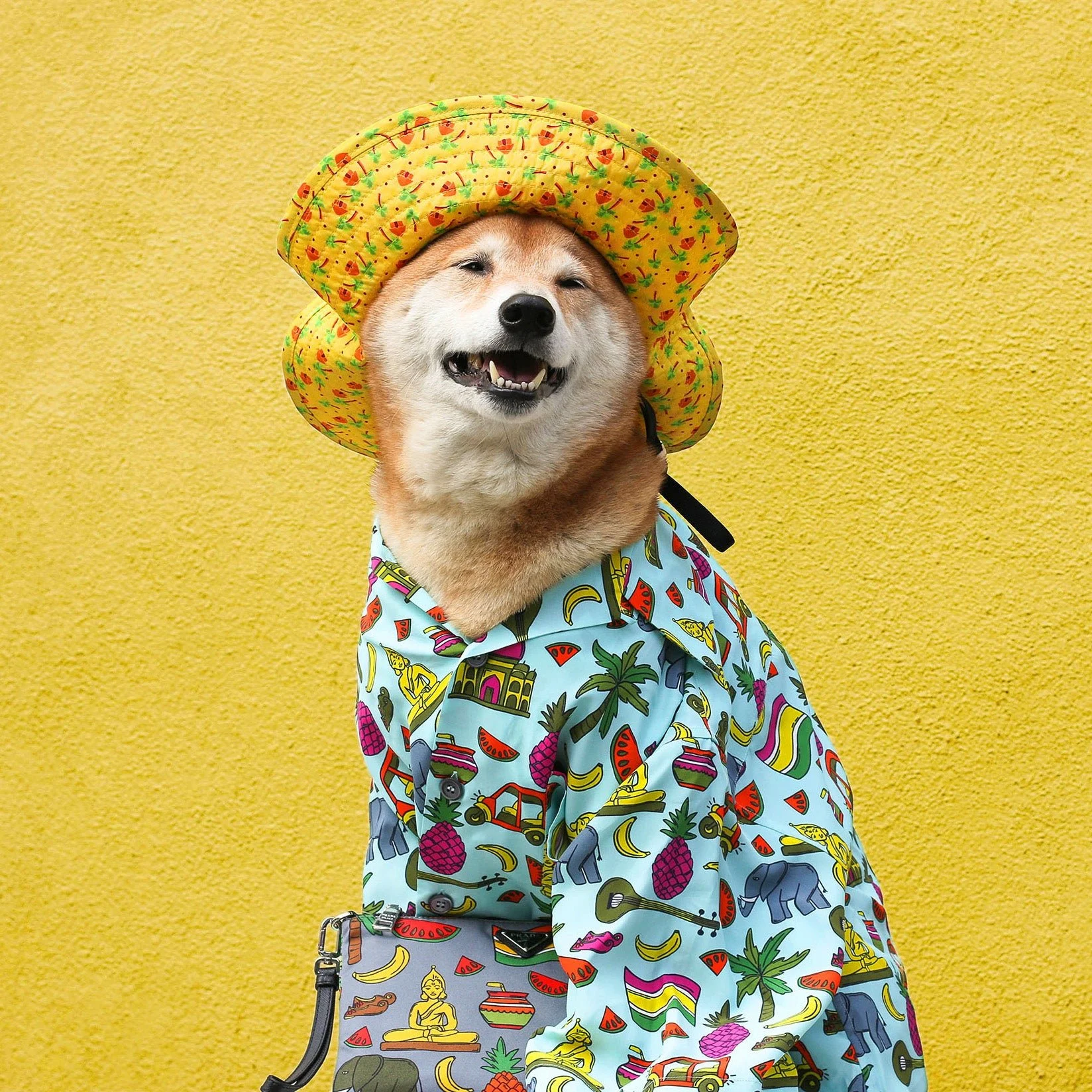 Dress Up Your Pet or Stuffy in the Most Stylish Outfit