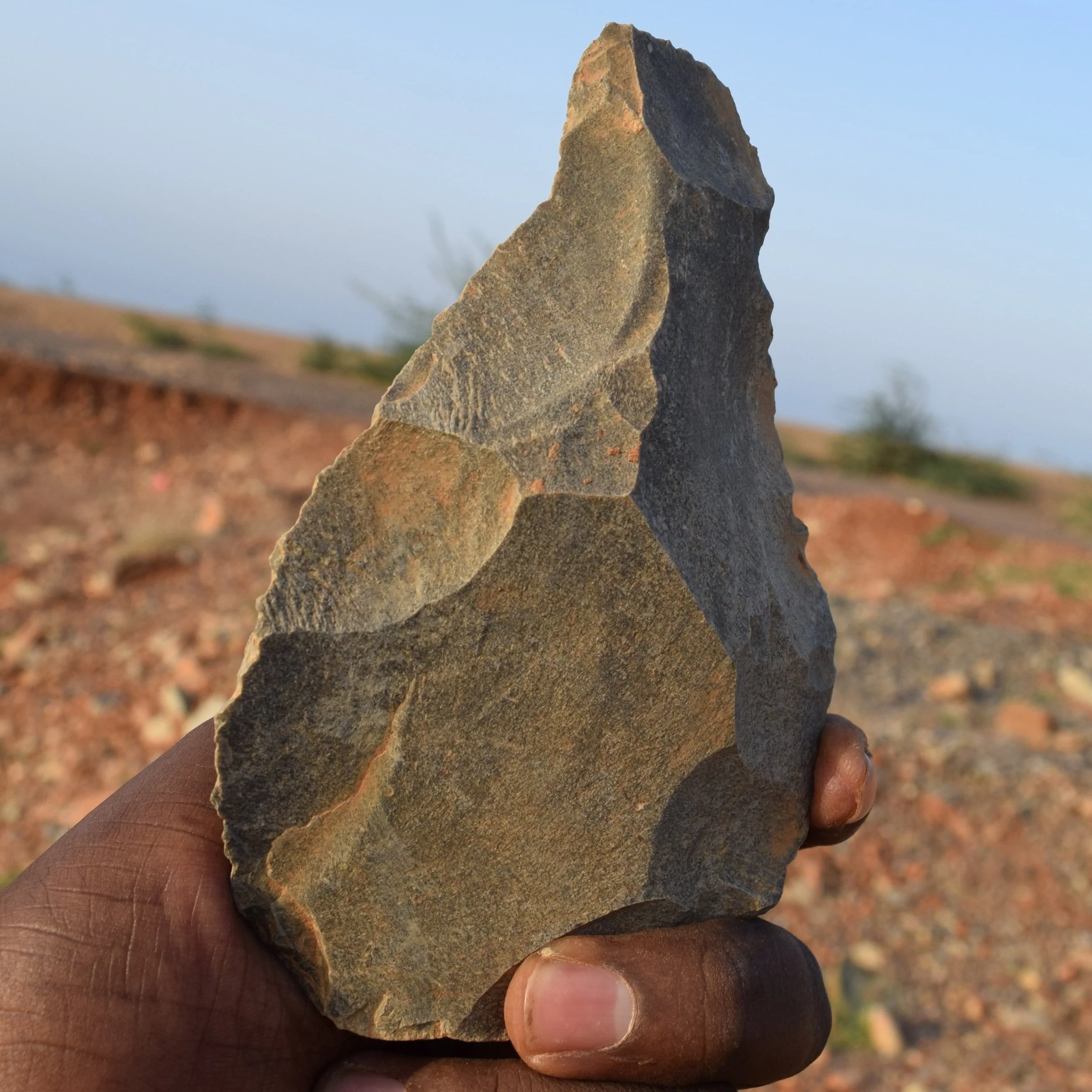 Research Early Humans with Dr. Amanuel Beyin