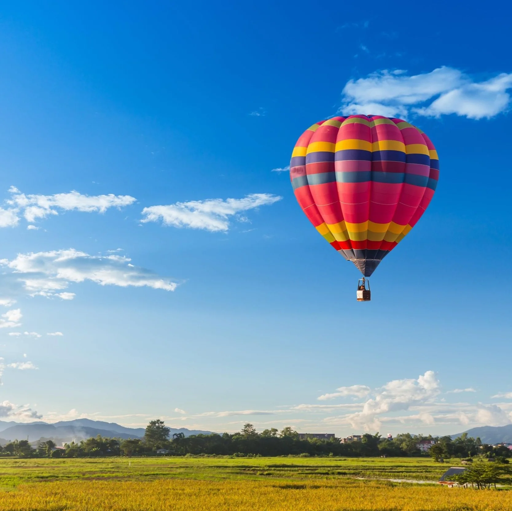 Make Flying Machines to Soar Through the Sky