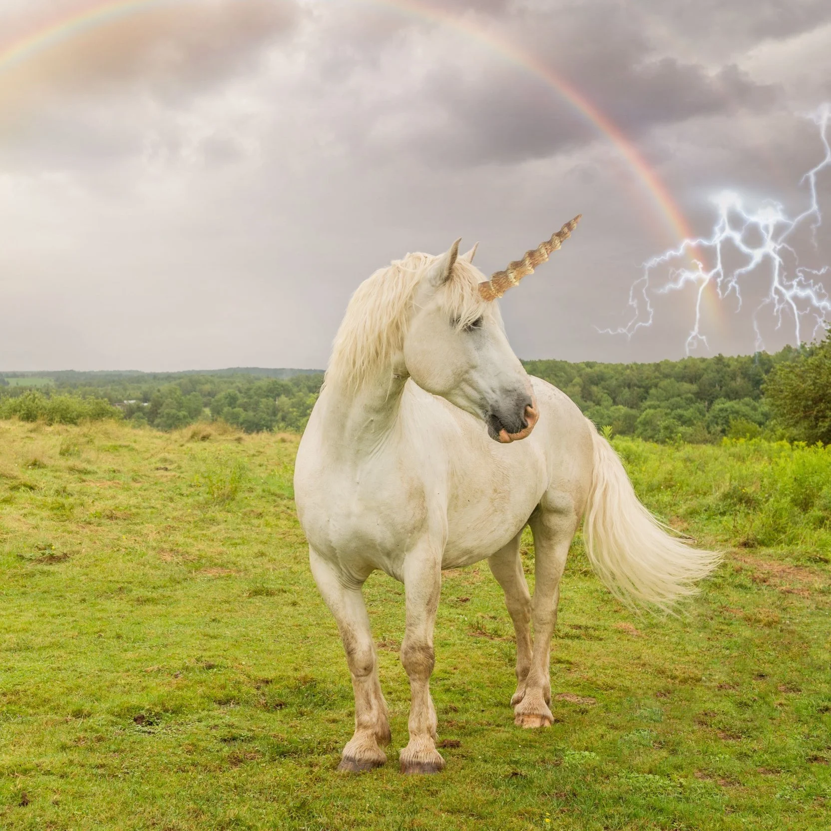 Channel Your Inner Unicorn