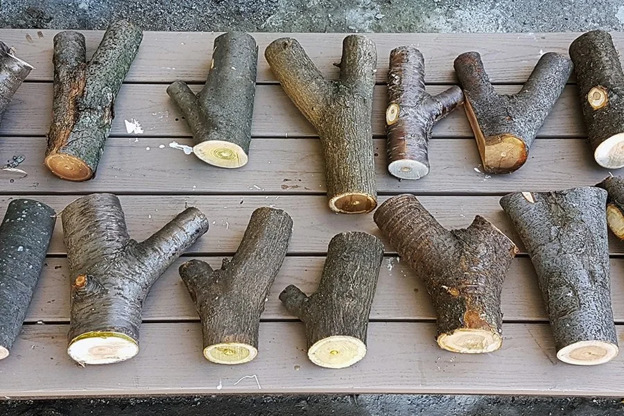 Build with Upcycled Tree Forks